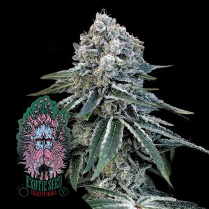 Death Roll Exotic Seeds