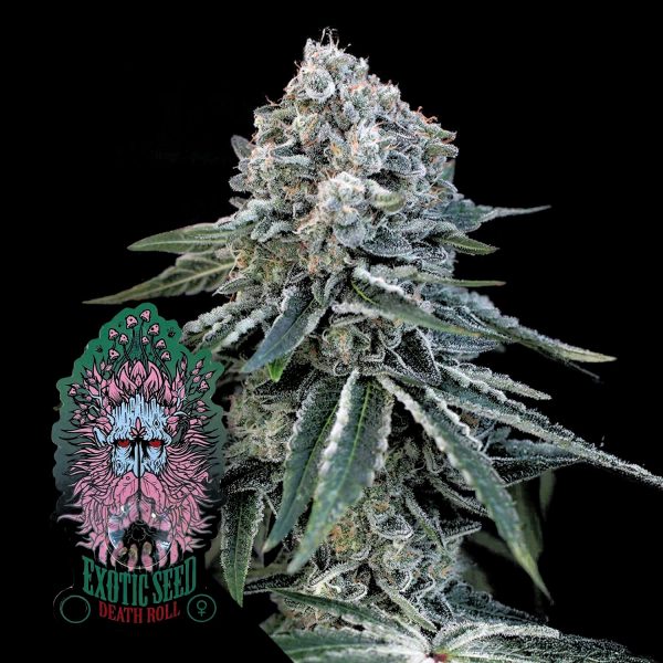 Exotic Seeds Death Roll