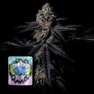 Diamond Dust Puro Instincto