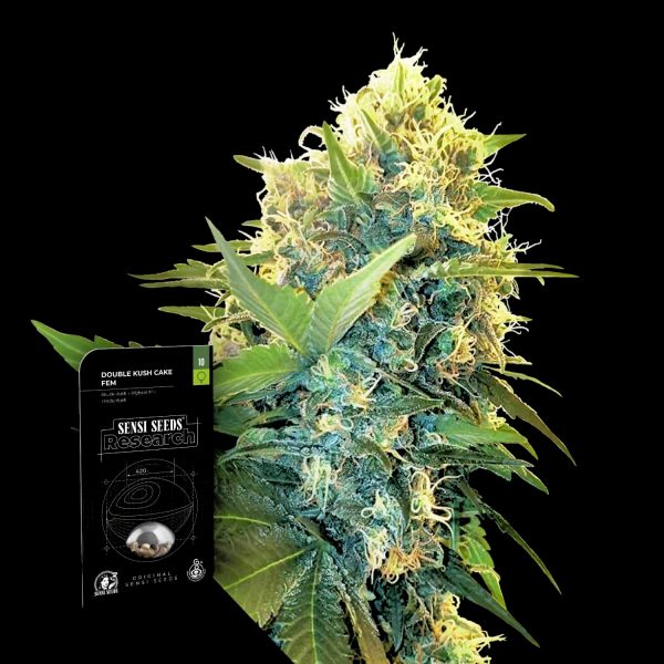 Sensi Seeds Double Kush Cake