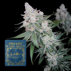 Jack Herer Reserve Emperor's Cut