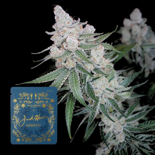 Jack Herer Reserve Emperor’s Cut