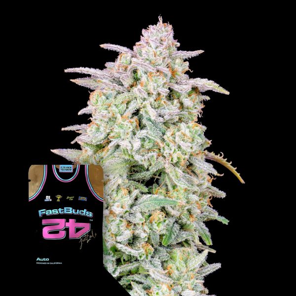420 Fast Buds Forbidden Runtz Auto