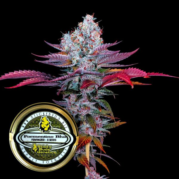 Sticky Buds Formentino Blue