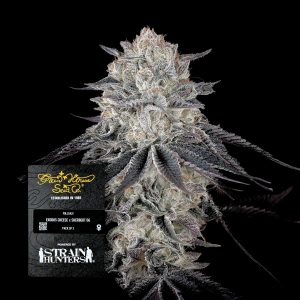 Francos Fullgas Green House Seeds
