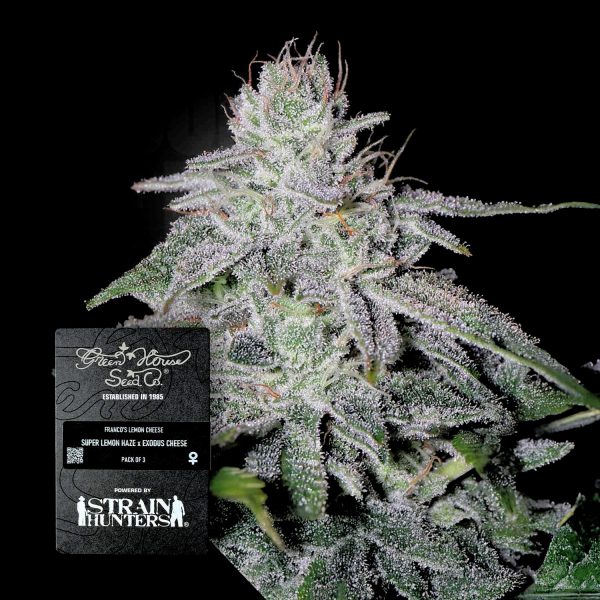 Green House Seeds Franco’s Lemon Cheese