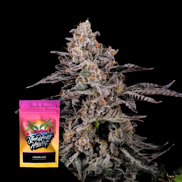 Nine Weeks Harvest Franklinz