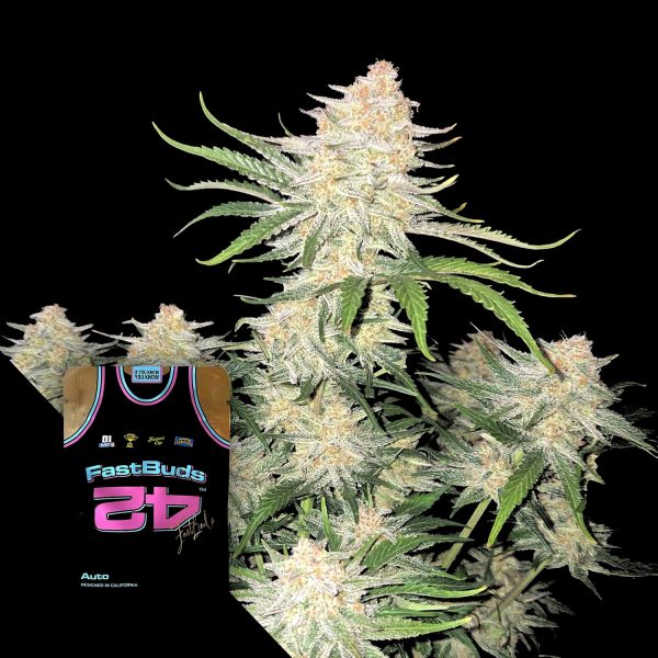420 Fast Buds Frostbanger Auto F4