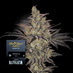 Frosted Guava Auto Green House Seeds