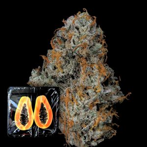 Fruit Fuel Nine Weeks Harvest