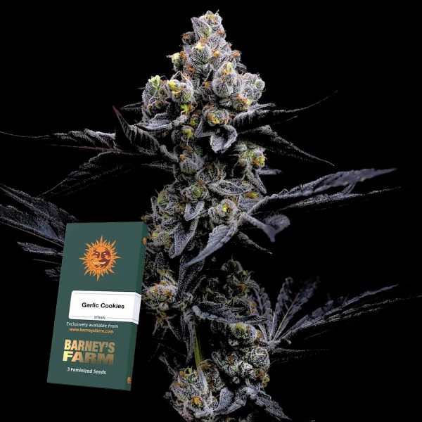 Barneys Farm Garlic Cookies