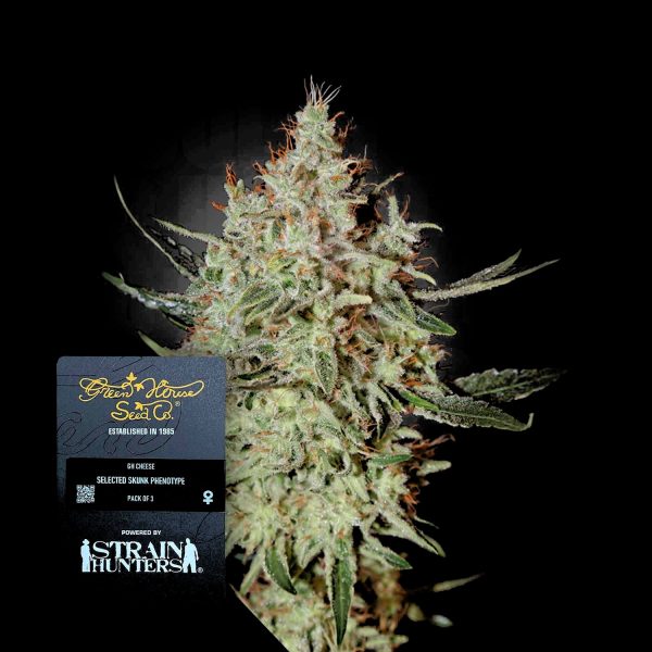 Green House Seeds GH Cheese