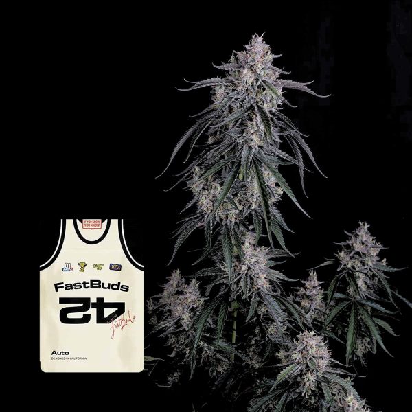 420 Fast Buds GMO Auto