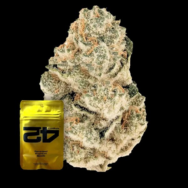 420 Fast Buds Gorilla Melon FEM