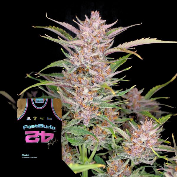 420 Fast Buds Gorilla Punch Auto