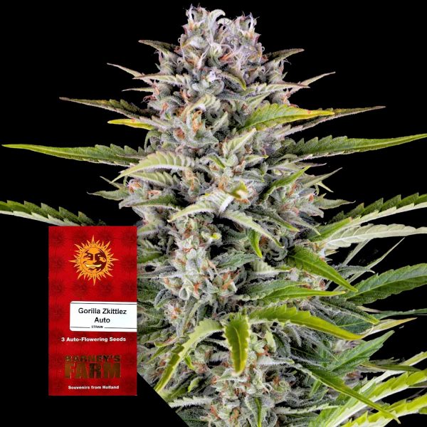 Barneys Farm Gorilla Zkittlez Auto