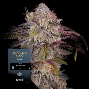 Gran Jefa Green House Seeds