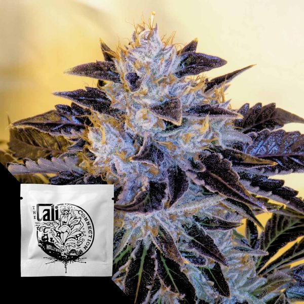 Cali Connection Grape OG