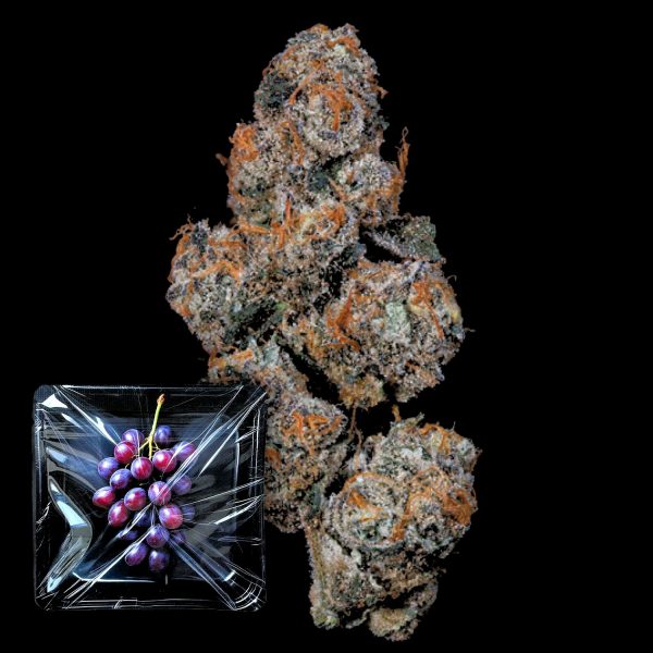 Nine Weeks Harvest Grape Squeeze