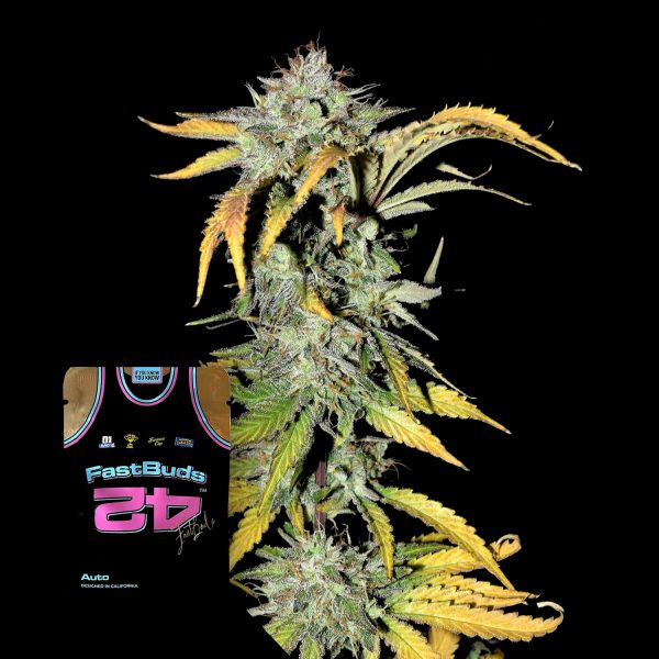 420 Fast Buds Grapefruit Auto