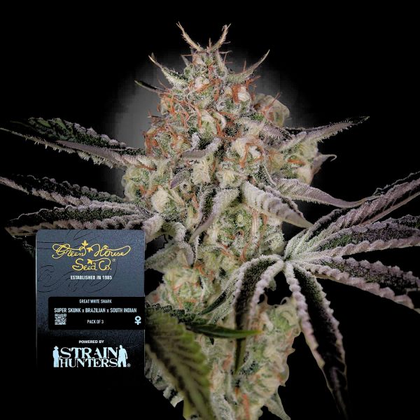 Green House Seeds Great White Shark
