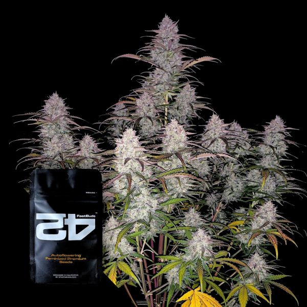 420 Fast Buds Green Crack Auto