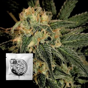 Green Crack Cali Connection