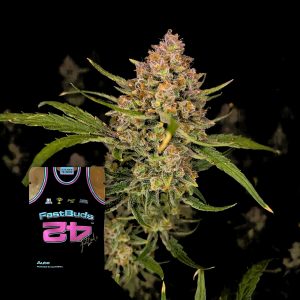 Guava Auto 420 Fast Buds