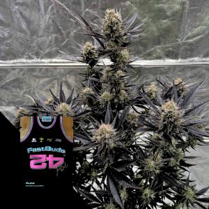 Guava Auto Rf3 420 Fast Buds