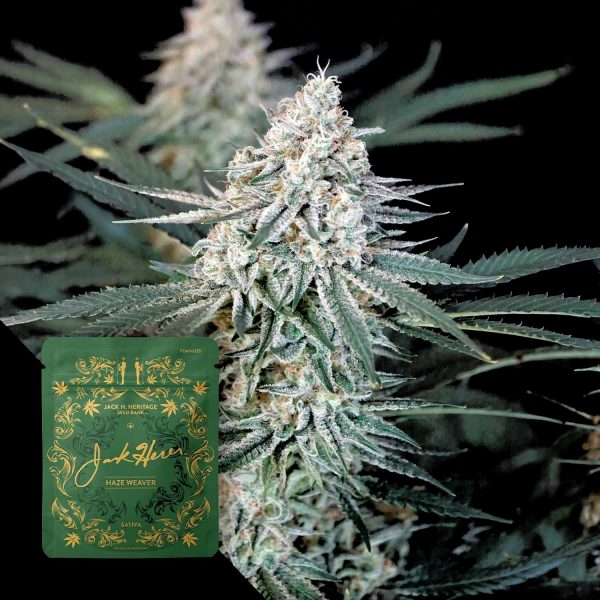 Jack Herer Reserve Haze Weaver