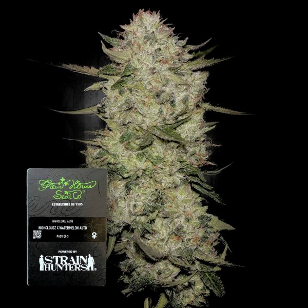 Green House Seeds HighCloudZ Auto