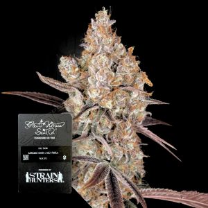 Holy Snow Green House Seeds