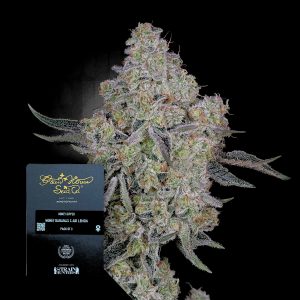 Honey Dipper Green House Seeds