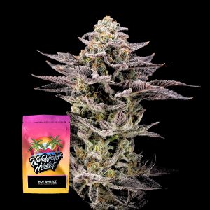 Hot Wheelz Nine Weeks Harvest