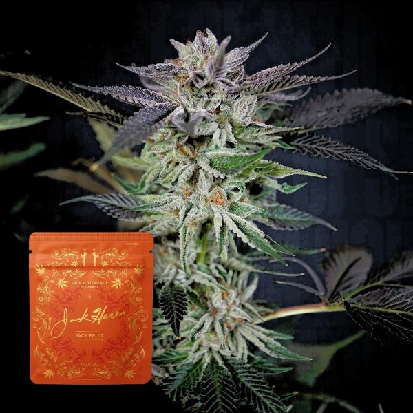 Jack Herer Reserve Jack Fruit