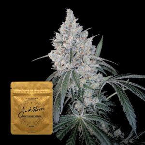 Jacks Honey Breath Jack Herer