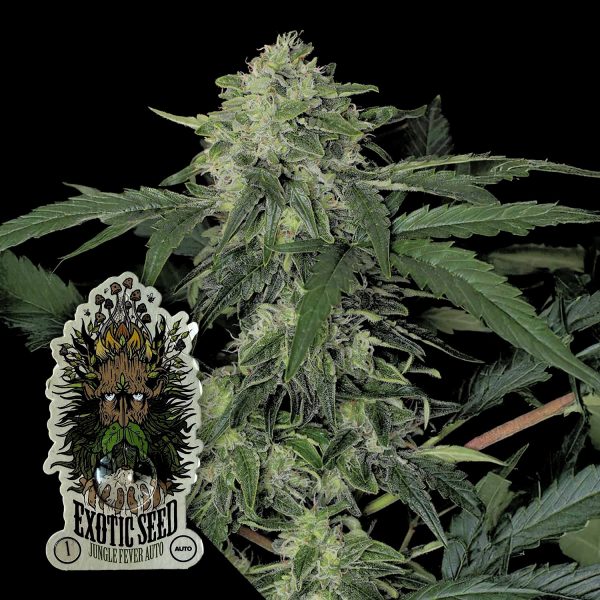 Exotic Seeds Jungle Fever Auto