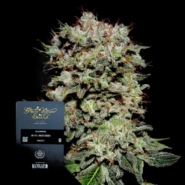 Green House Seeds Kalashnikova