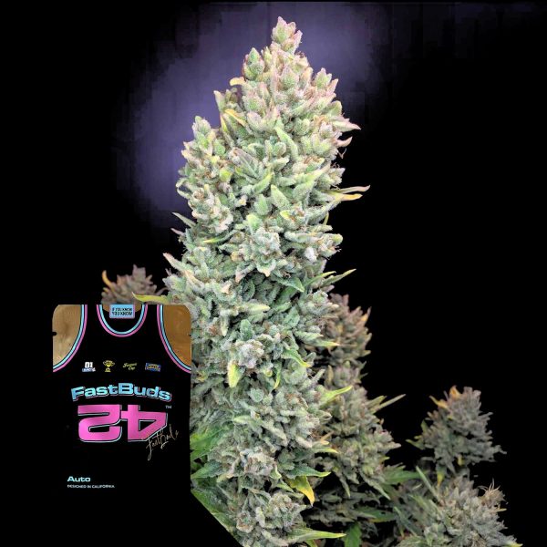 420 Fast Buds Lemon AK Auto