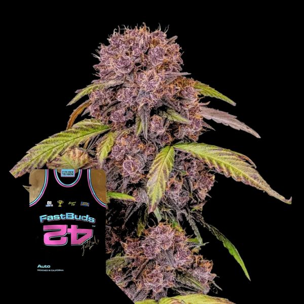 420 Fast Buds Lemon Cherry Cookies Auto