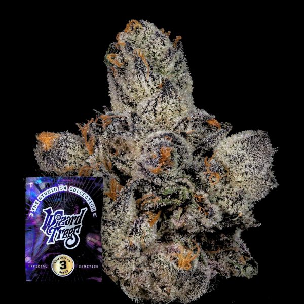 Wizard Trees Lemon fever