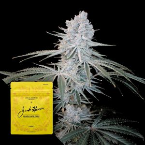 Lemon Jack Cake Jack Herer