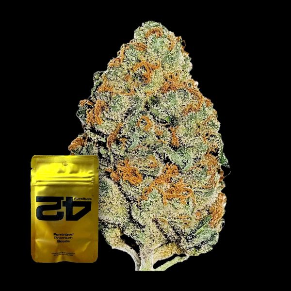 420 Fast Buds Lemon Mandarin FEM