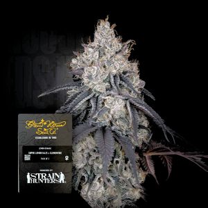 Lemon Orange Green House Seeds