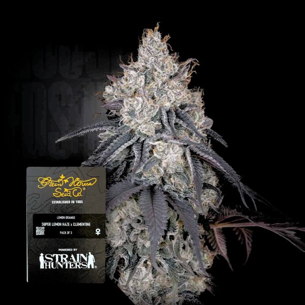Green House Seeds Lemon Orange