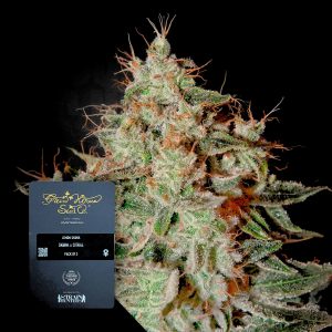 Lemon Skunk Green House Seeds