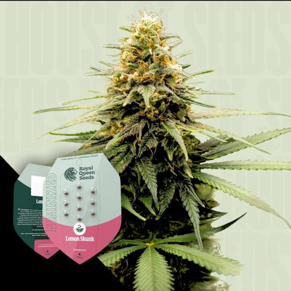 Royal Queen Seeds Lemon Skunk