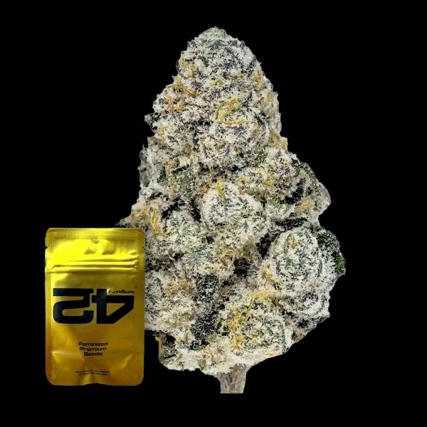 420 Fast Buds Lemonpaya FEM