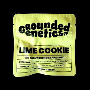 Lime Cookies Grounded Genetics