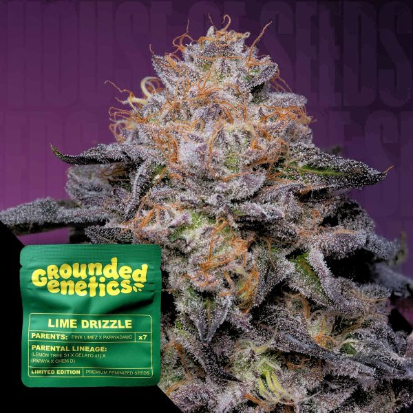 Grounded Genetics Lime Drizzle